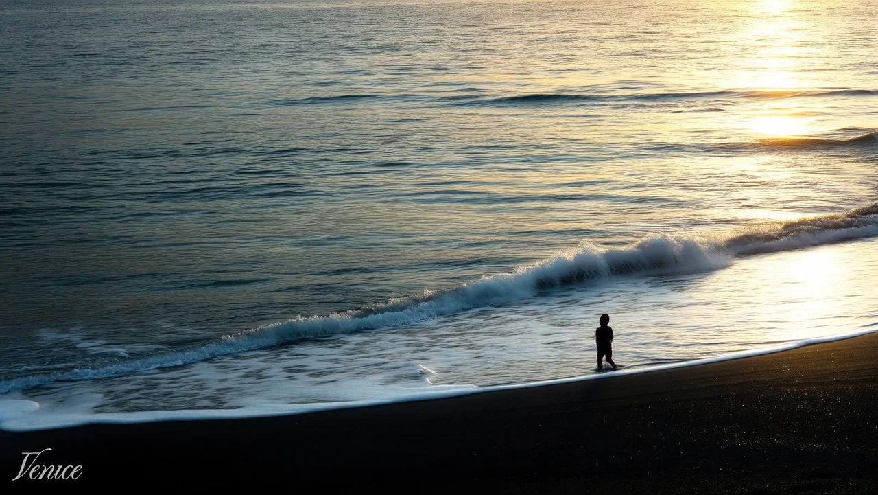 Silhouetted figure on a black-sand beach with gentle waves at sunrise poster